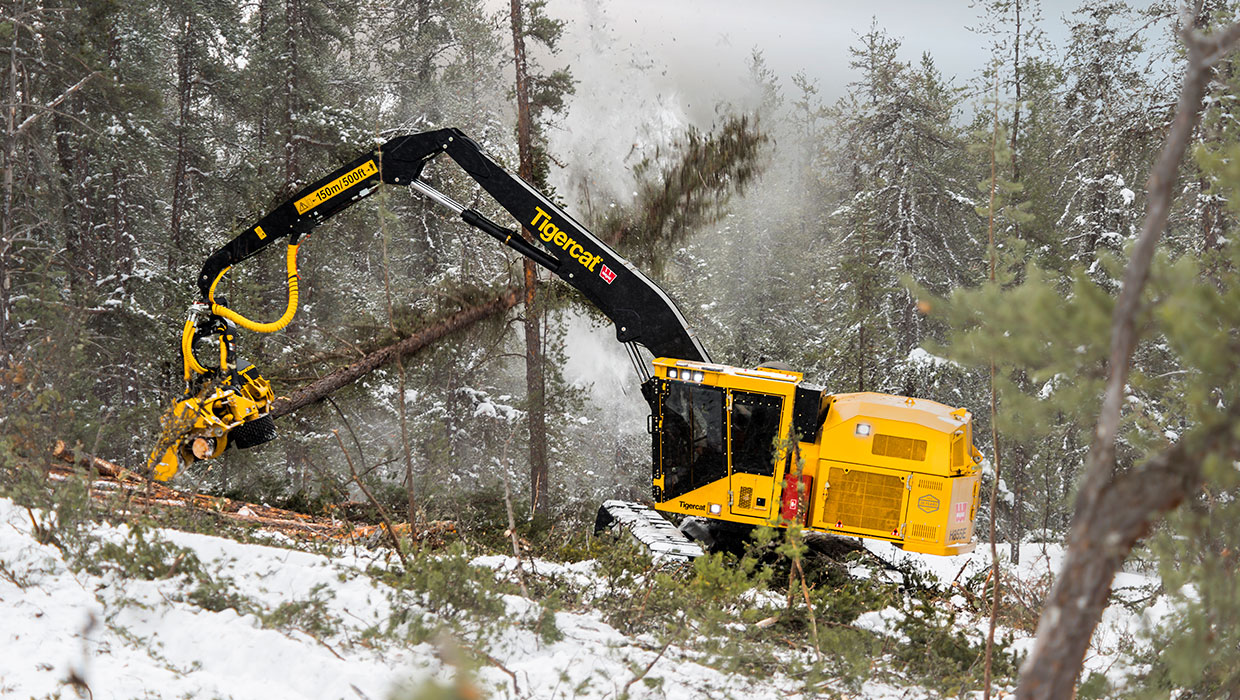 Image of a Tigercat H855E harvester working in the field