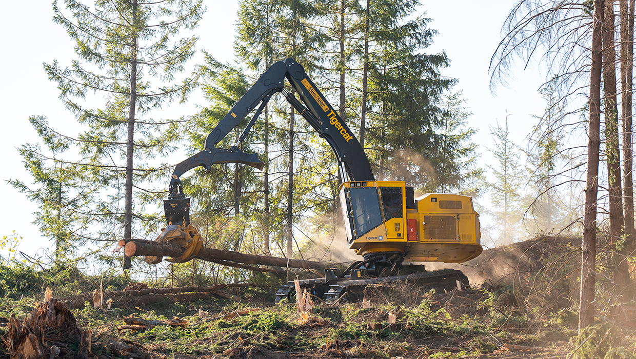 Image of a Tigercat LS855E shovel logger working in the field