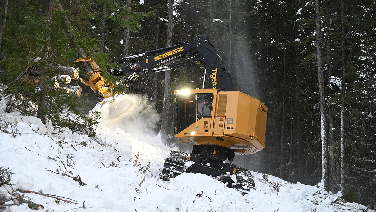 Image of a Tigercat LX830E feller buncher working in the field