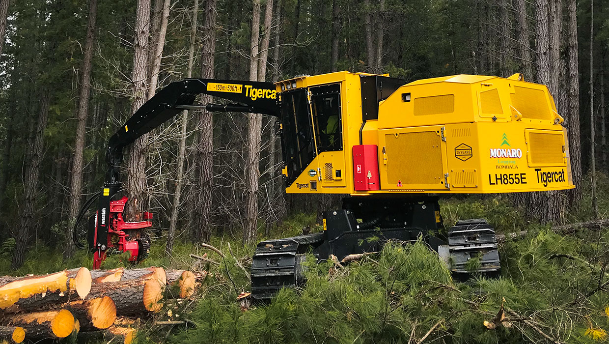 Image of a Tigercat LH855E harvester working in the field