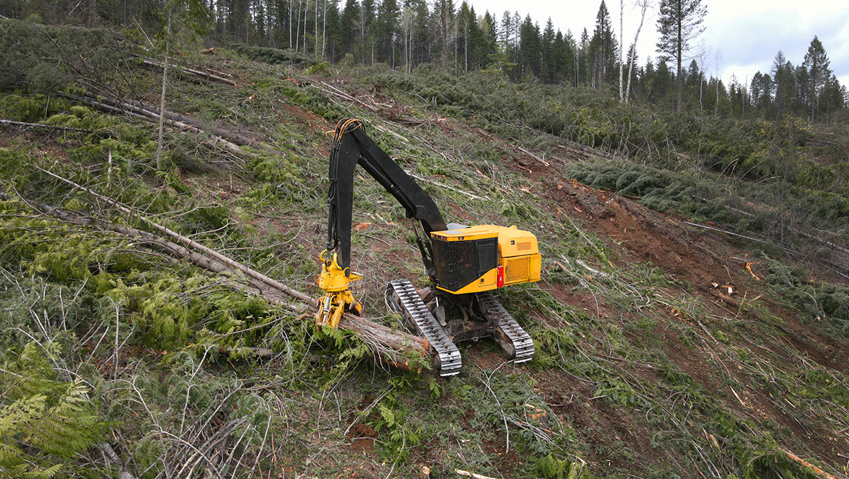 Image of a Tigercat LS855E shovel logger working in the field