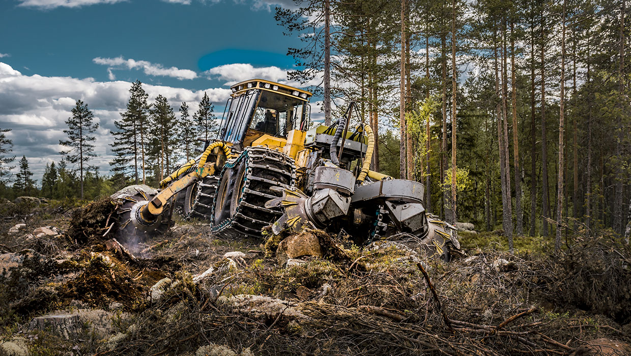 Image of a Tigercat 1075C forwarder working in the field