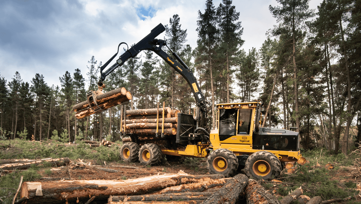 Image of a Tigercat 1075C forwarder working in the field