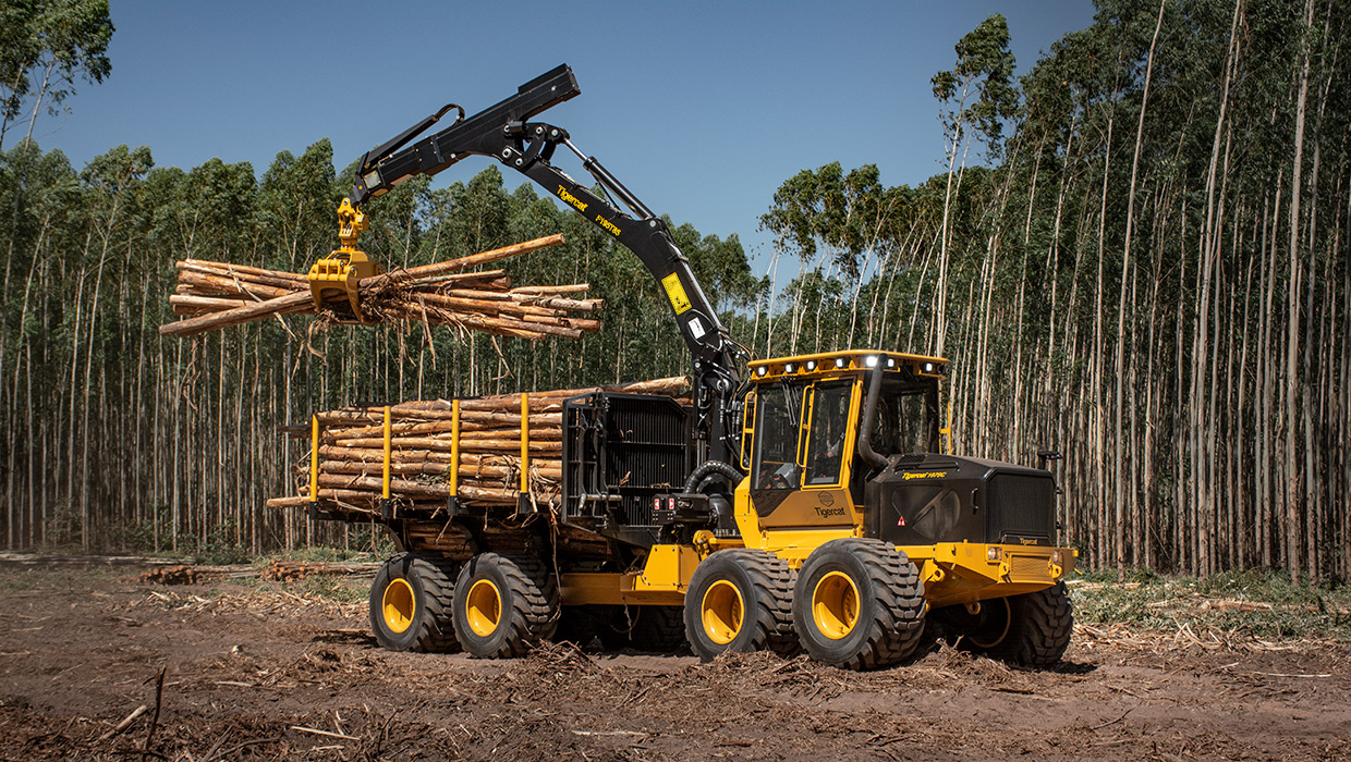 Image of a Tigercat 1075C forwarder working in the field