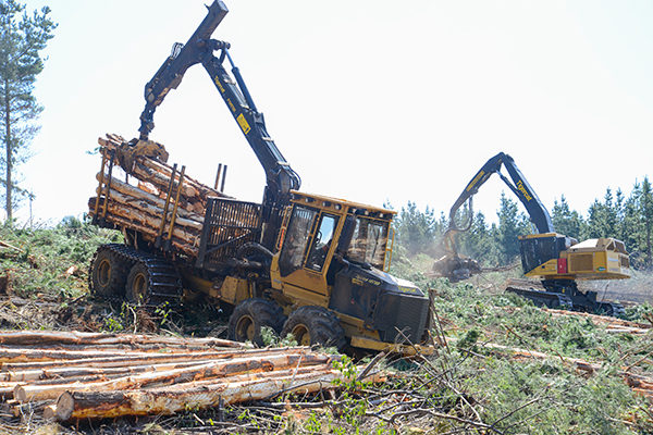 Tigercat 1075B med LH855C i bakgrunden.