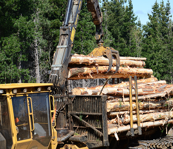 The powerful Tigercat crane and large capacity Tigercat grapple adds to the productivity of the 1075B.