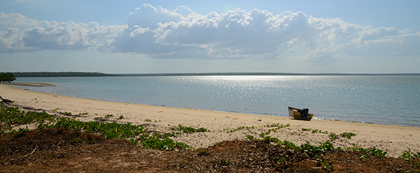 Un paisaje de playa, las nubes se mueven en el aire, el intenso sol se refleja en el océano. El agua tiene una pinta estupenda pero lo que se esconde bajo ella son tiburones toro y cocodrilos de agua salada.