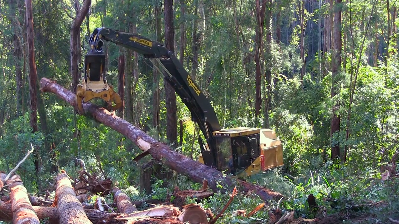 tigercat ls855c shovel logger