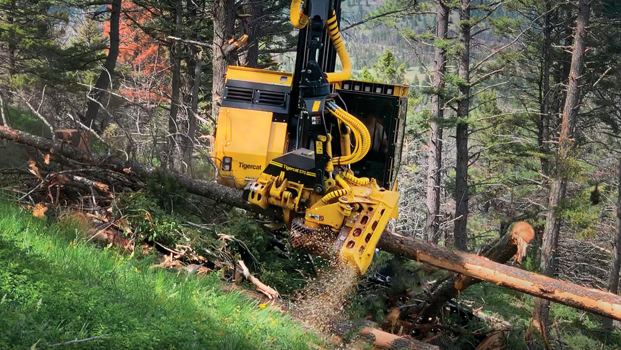 Tigercat 570 harvesting head working in the field