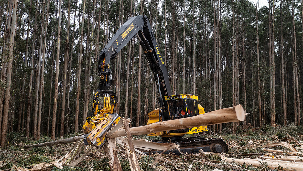 Tigercat 570 harvesting head working in the field