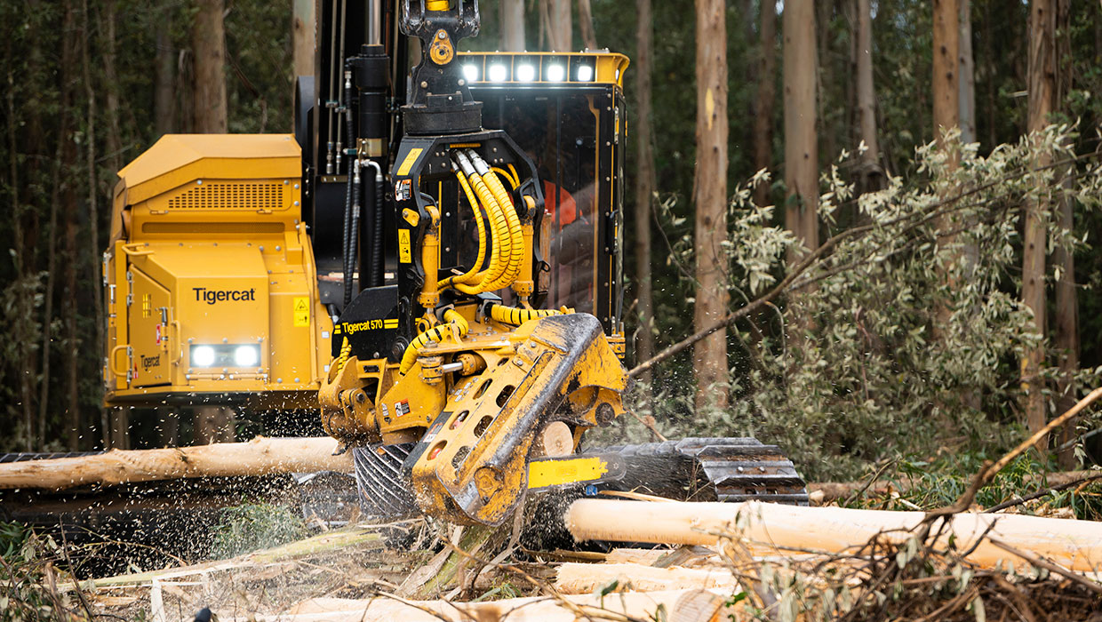 Tigercat 570 harvesting head working in the field