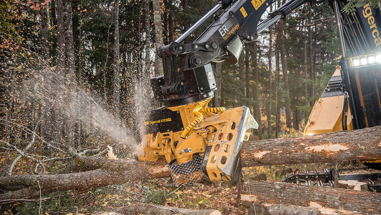 Tigercat 570 harvesting head working in the field