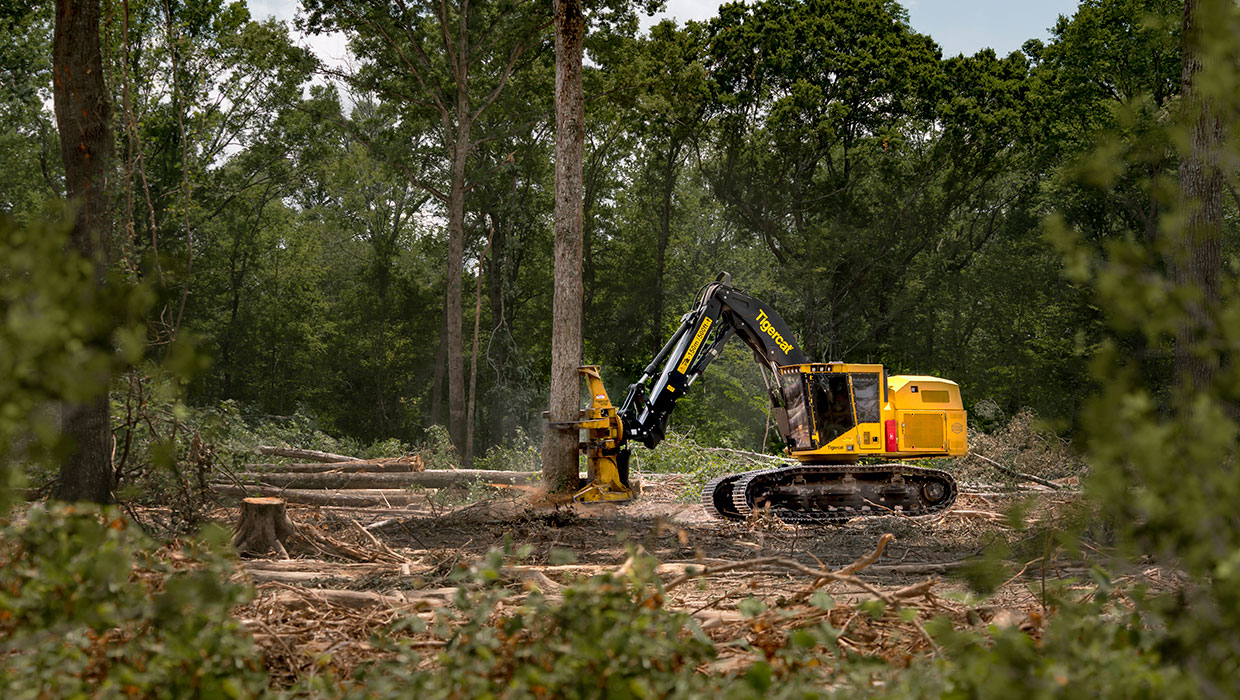 Image of a Tigercat 855E track feller buncher working in the field