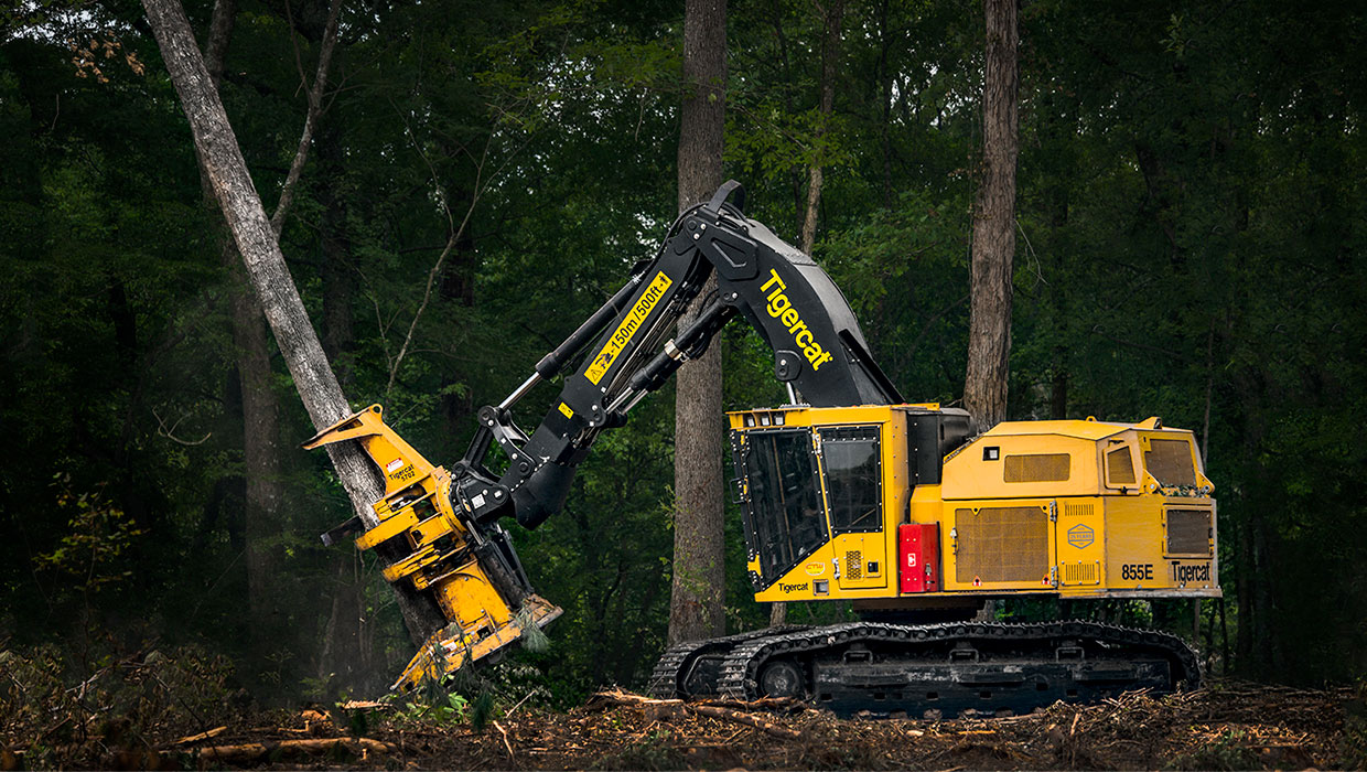 Image of a Tigercat 855E track feller buncher working in the field