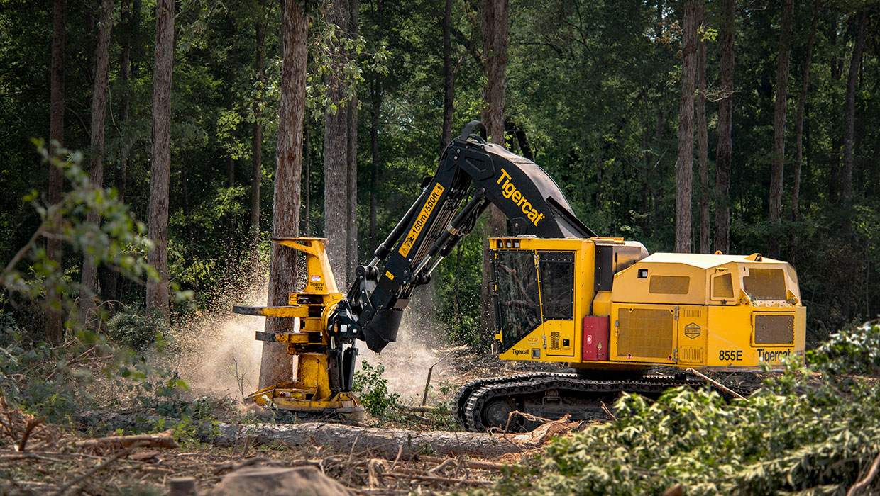 Image of a Tigercat 855E track feller buncher working in the field