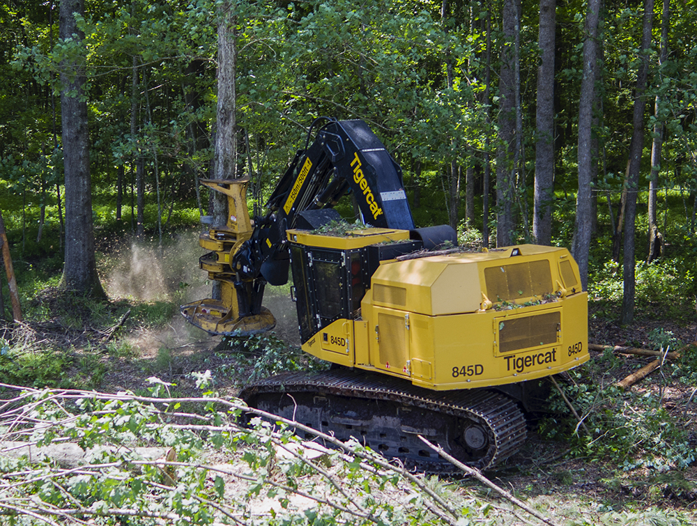 An 845D feller buncher saws through the stump of a tree