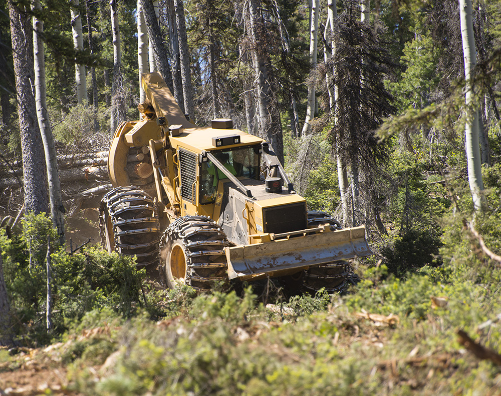 Tigercat 620E на выезде из узкого трелевочного волока.