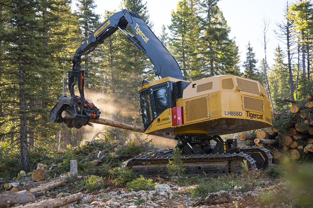 Sun shines through the trees illuminating a LH855D as harvests a log.