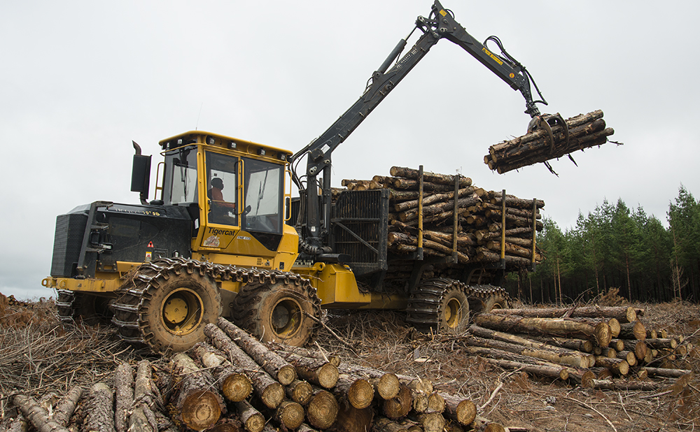 Logs line the foreground leading your eye toward a Tigercat 1075B, lifting a grapple full of cut-to-length logs into the bunks of the carrier.