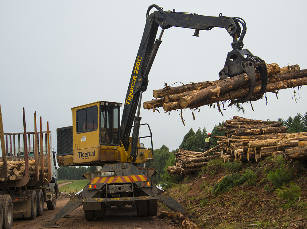 A truck-mounted Tigercat 220 log loader loads wood on a logging truck.