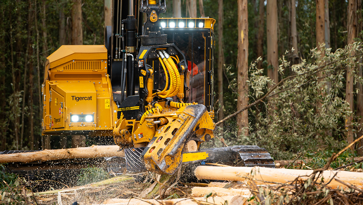 Image of a TCi 570 harvesting head working in the field
