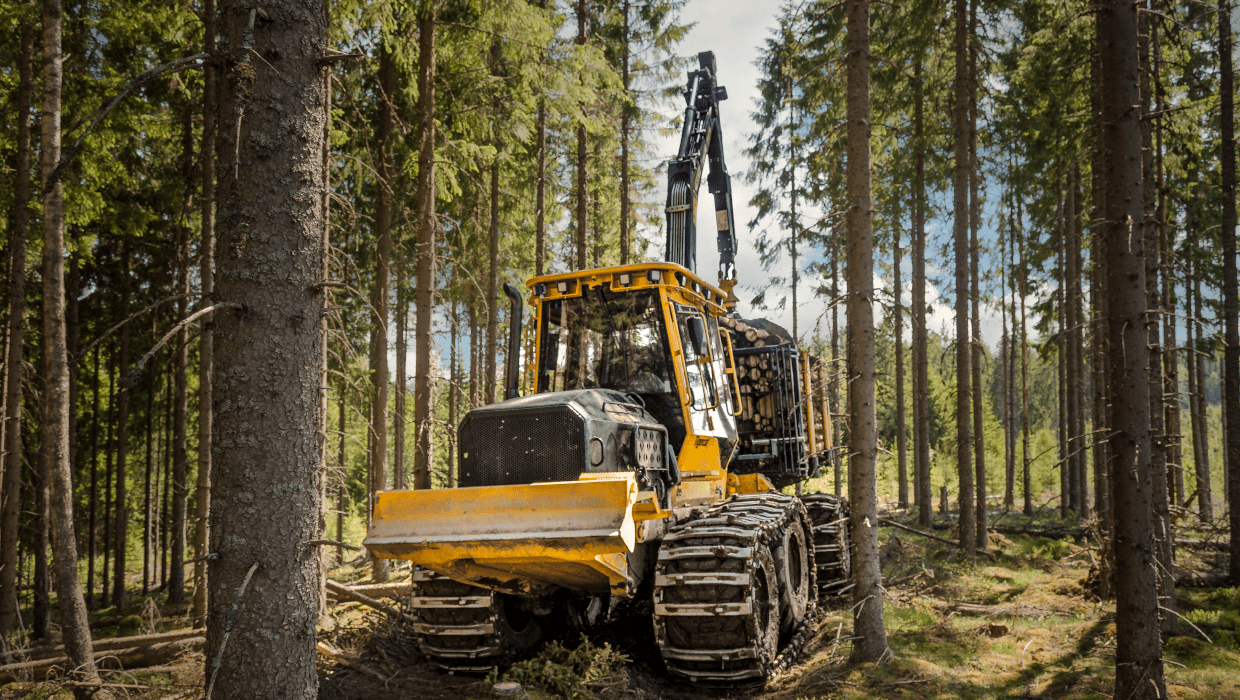 Image of a Tigercat 1055C forwarder working in the field