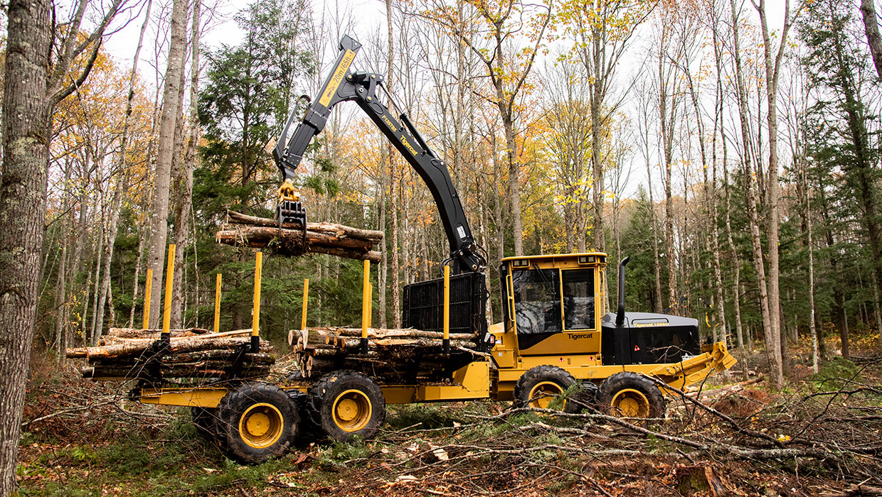 Image of a Tigercat 1055C forwarder working in the field