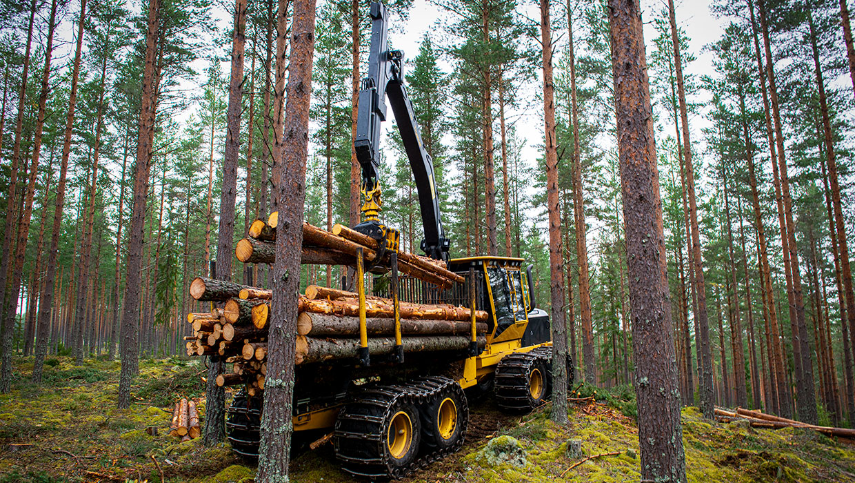 Image of a Tigercat 1055C forwarder working in the field