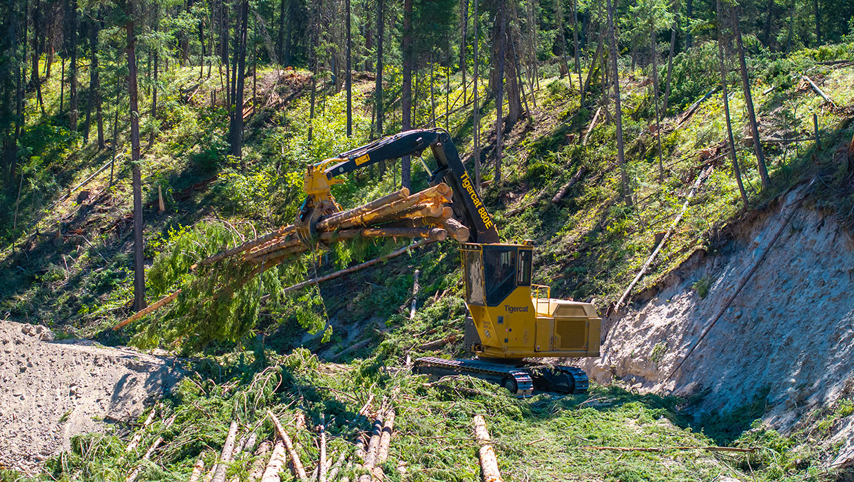 Tigercat 880E logger working in the field