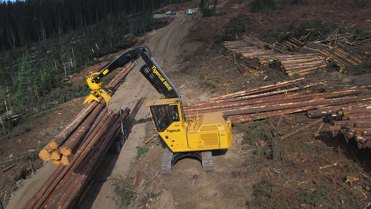 Image of a Tigercat 880E logger working in the field