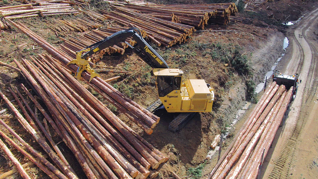 Image of a Tigercat 880E logger working in the field