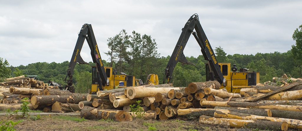 Two Tigercat 250B loaders stationed behind a pile of large logs. 