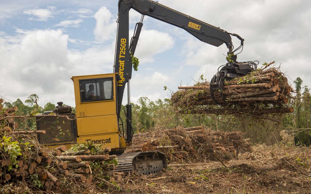 La chargeuse T250B est dotée d’un grappin à scie à grande capacité. Elle tronçonne les arbres pour former des billes de 6 m et empile les cimes dans une rangée distincte. Il s’agit d'une opération très simple sans ébranchage, sans écorçage et sans déchets. Les cimes sont également transportées à l’usine pour le carburant.