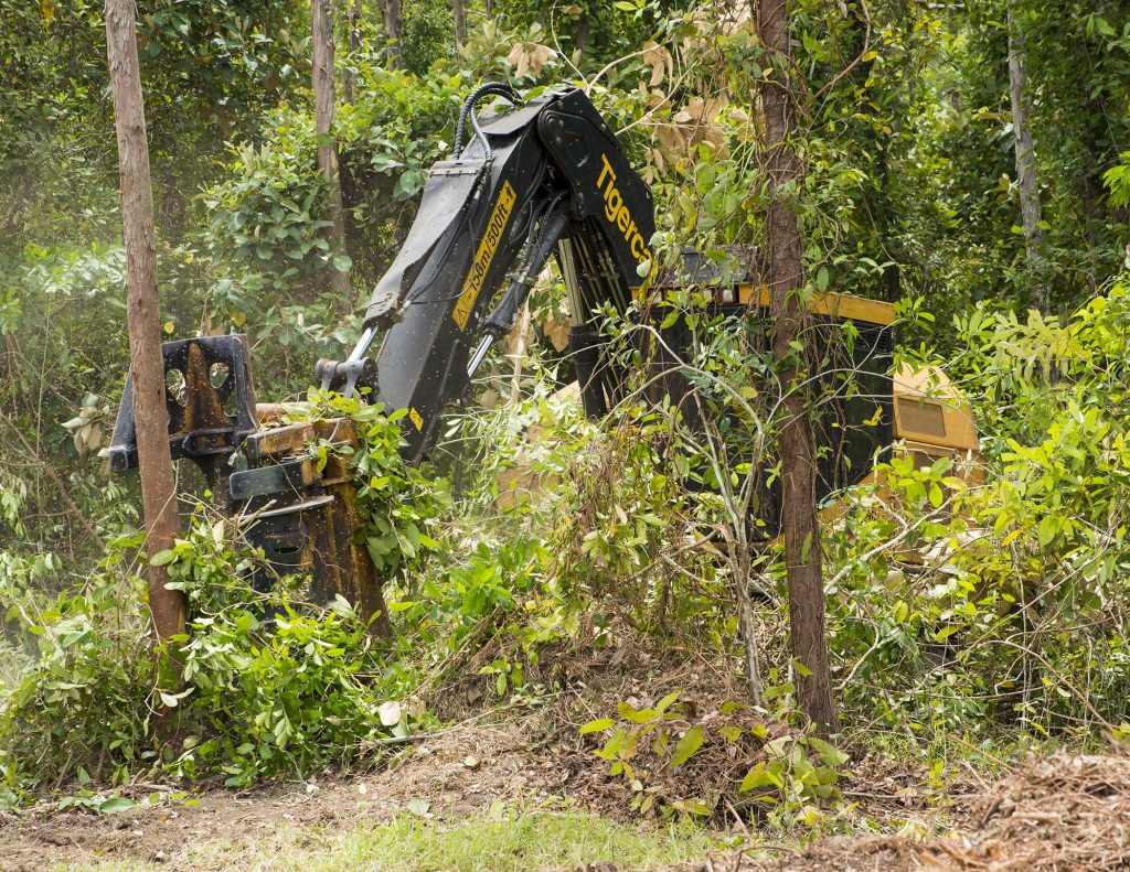 El feller buncher lucha constantemente con duros ramajes y malezas.