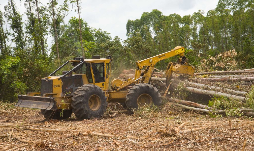 O skidder 630D da Proteak trabalhando em um feixe de árvores. Para transporte em pequenas distâncias, o operador Geraldo Monzon utiliza o Turnaround®, movendo-se para a frente e para trás, do talhão para a plataforma.