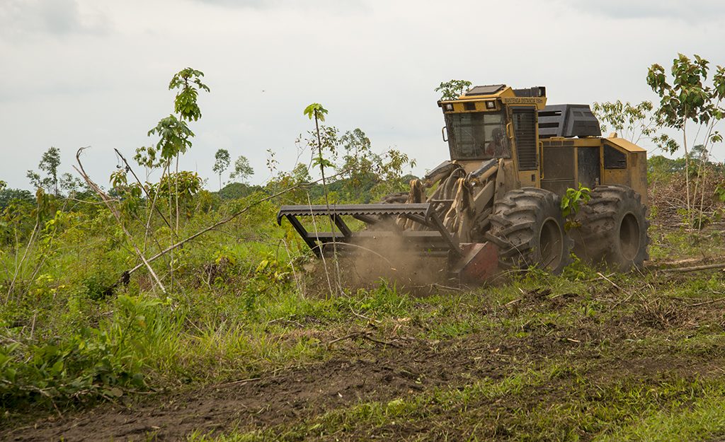 Un broyeur forestier Tigercat prépare un site avant la replantation. 