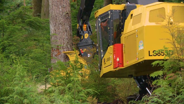 Watch the Tigercat LS855D shovel logger with 5195