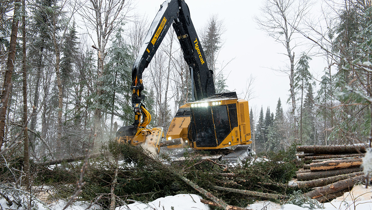 Image of a Tigercat H822E harvester working in the field