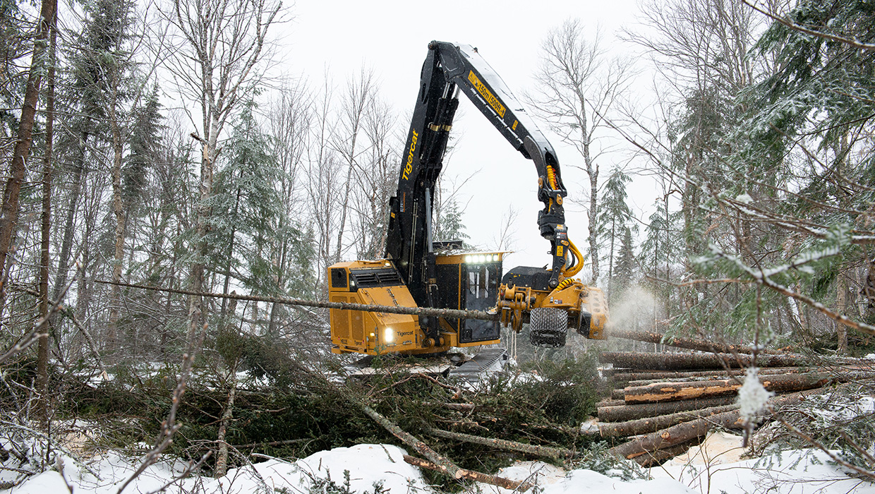 Image of a Tigercat H822E harvester working in the field