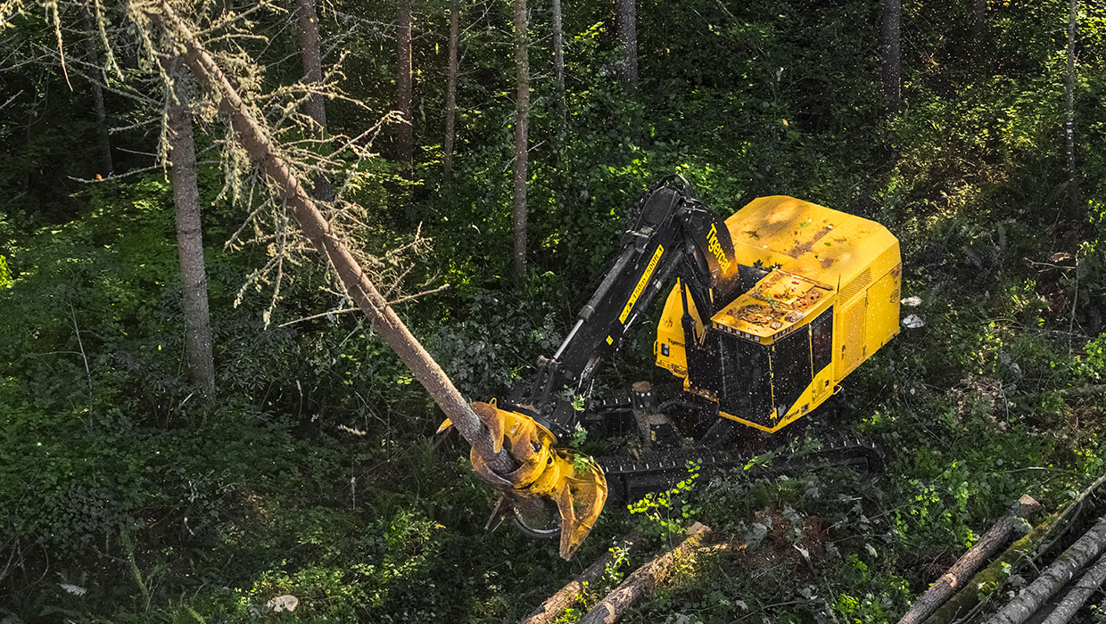 Image of a Tigercat X870D feller buncher working in the field