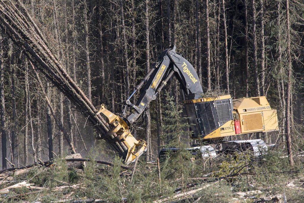 Валочно-пакетирующая машина 870C собственности Thomas Logging кладет на земли пачку деревьев.