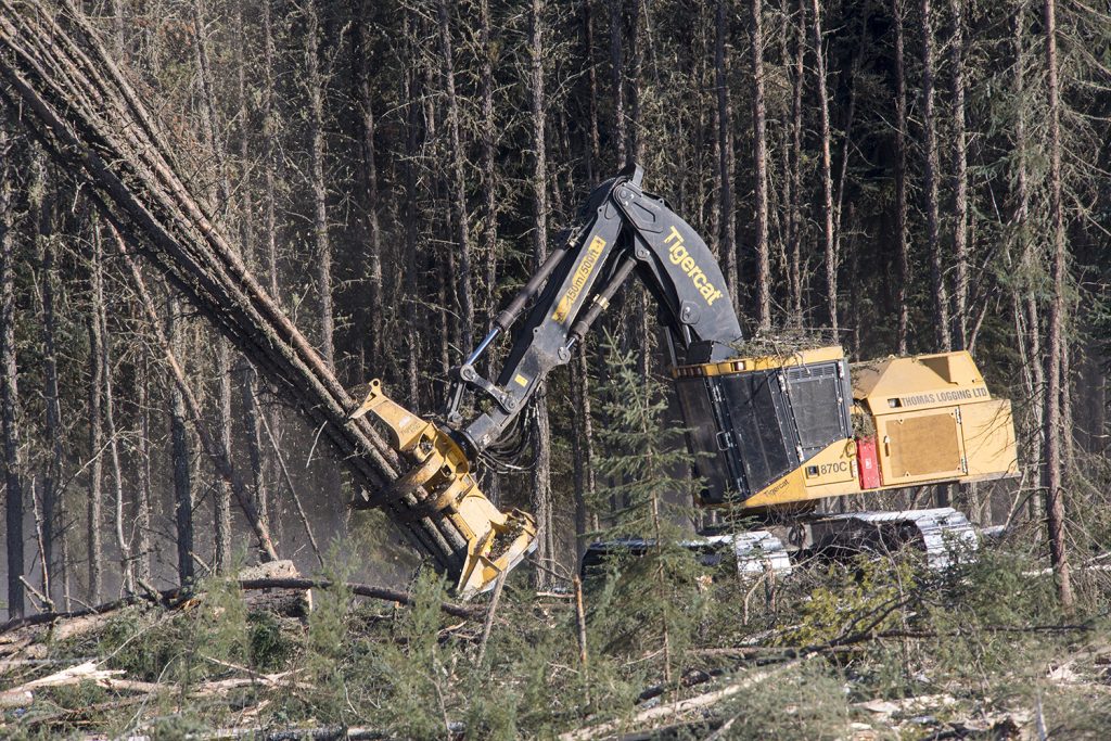 Une abatteuse-empileuse 870C de Thomas Logging à mi-chemin après avoir déposer un groupe d'arbres.