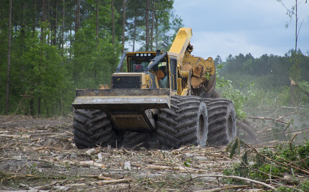 Четырехколесный трелевочный трактор Tigercat с шинами высокой проходимости трелюет пачку деревьев в захвате.