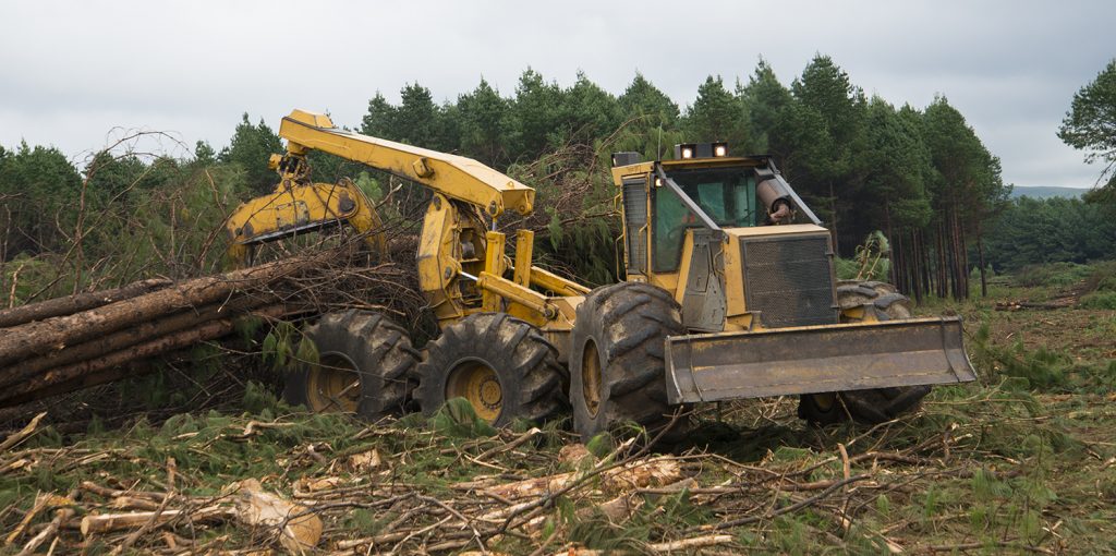 Skidder de seis ruedas de Tigercat en Sudáfrica. La duración de la máquina es esencial.