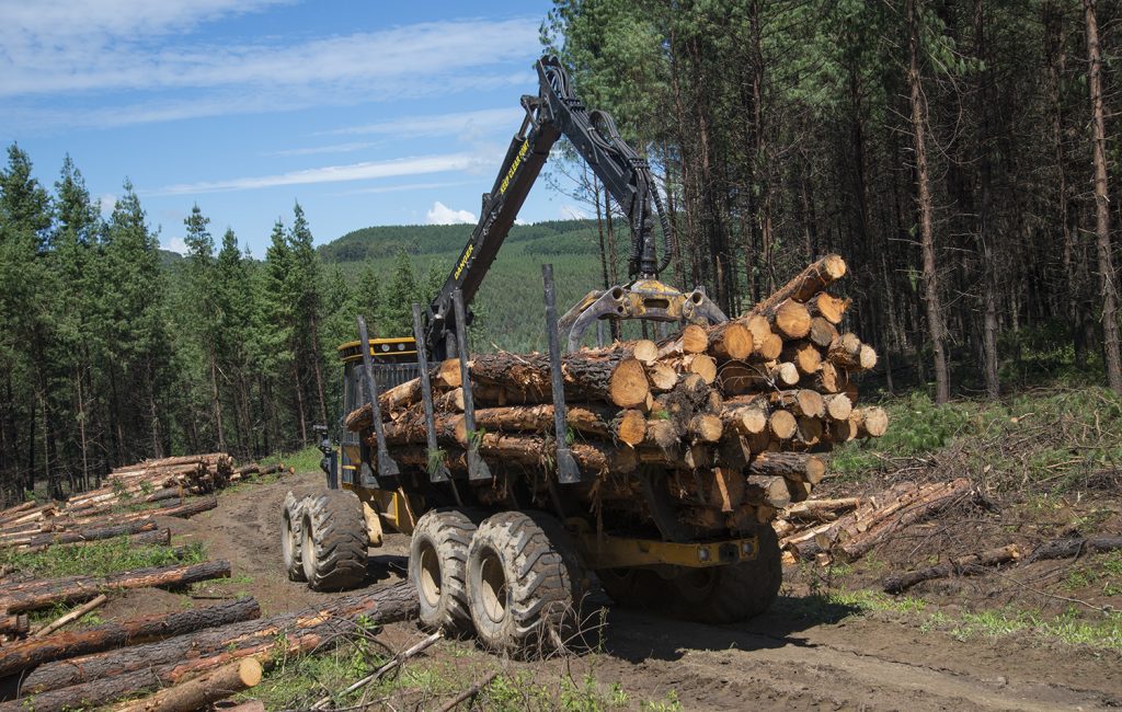 A forwarder travelling with logs in it's bunks down a log road. 