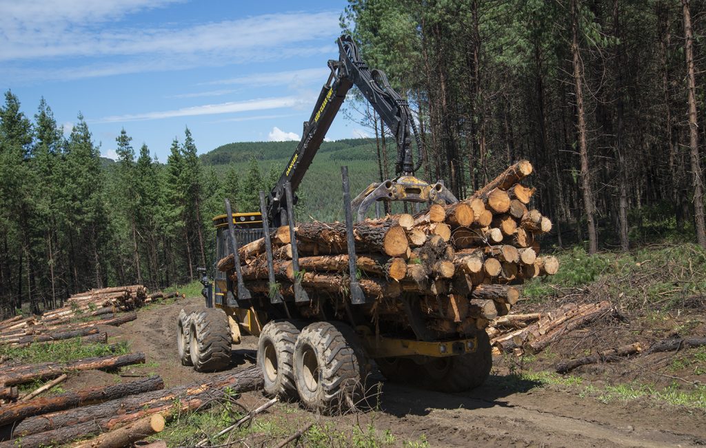 Um forwarder carregando toras no fueiro em uma estrada. 