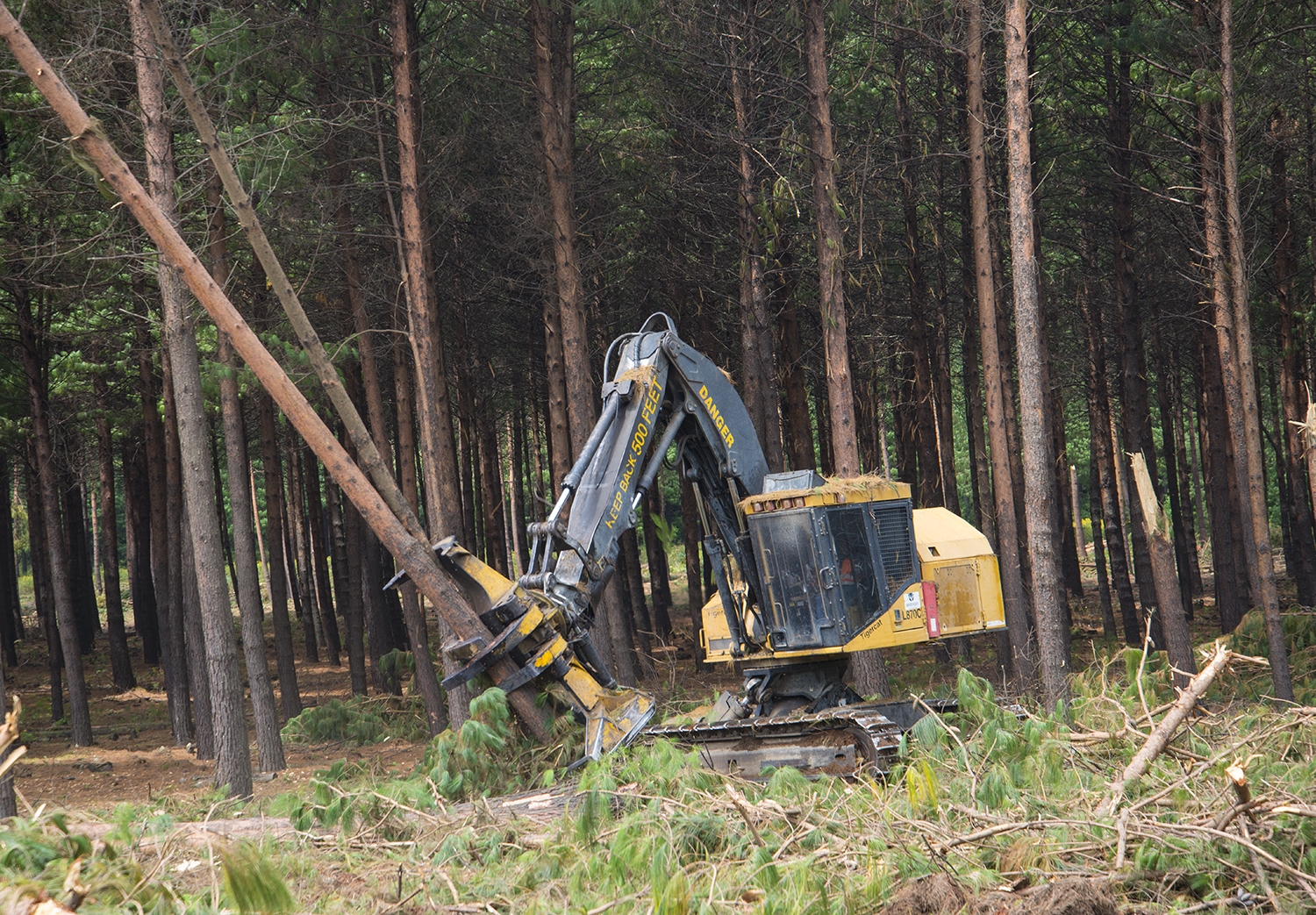 Machine Longevity - Running Tigercat machines to high hours
