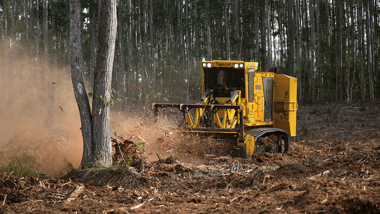 Image of a Tigercat 480B mulcher working in the field