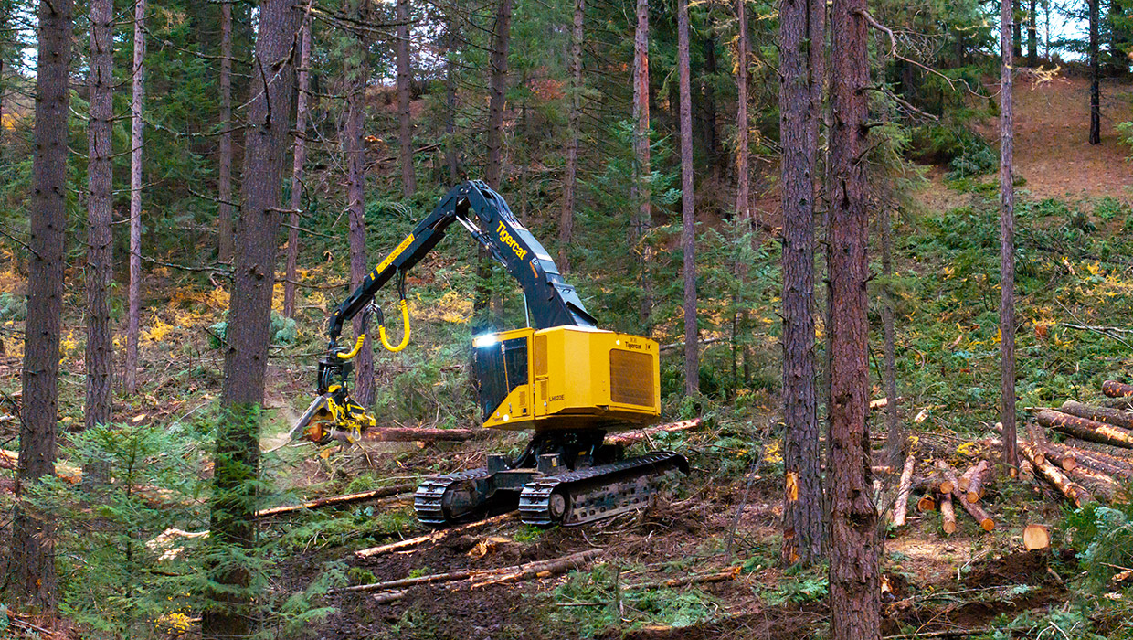 Image of a Tigercat LH822E harvester working in the field