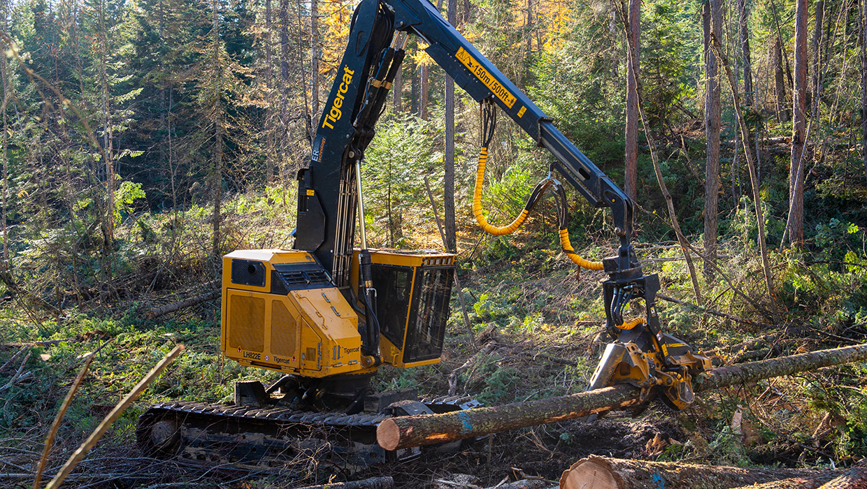 Image of a Tigercat LH822E harvester working in the field